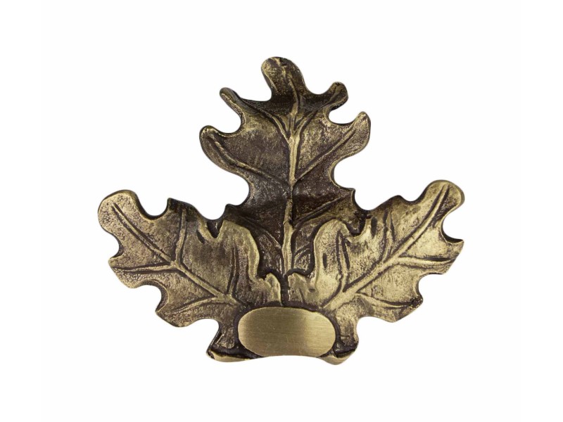 Dekoracija za trofejo divjega prašiča OAK bronca
