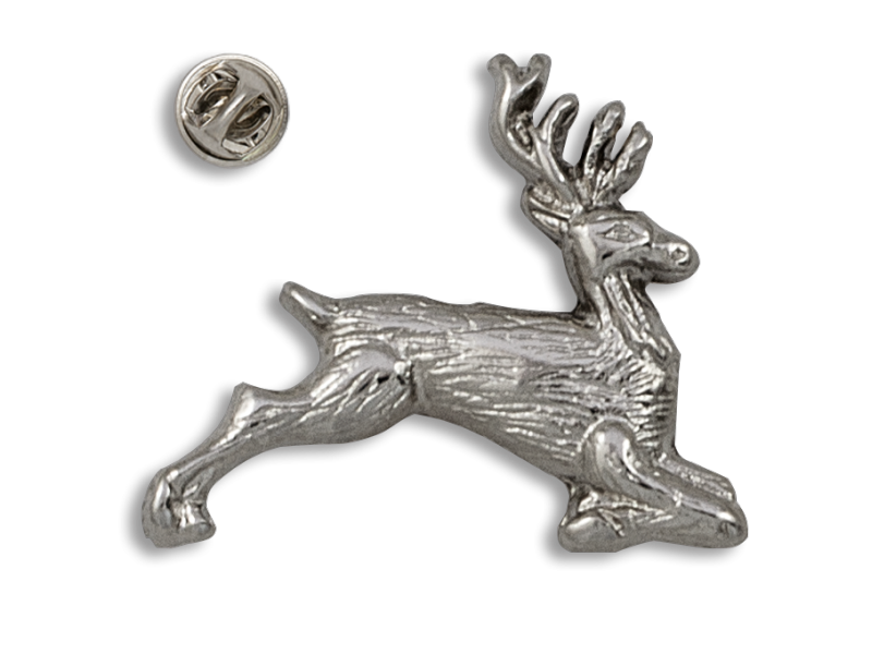 Distintivo CERVo completo