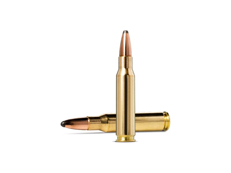 Naboj NORMA 308 Win WHITETAIL - 11,7g/180gr