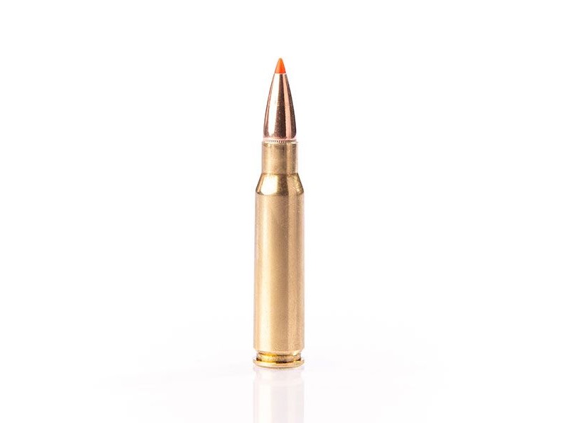 Naboj FIOCCHI 308 win EPN - 9,7g/150gr