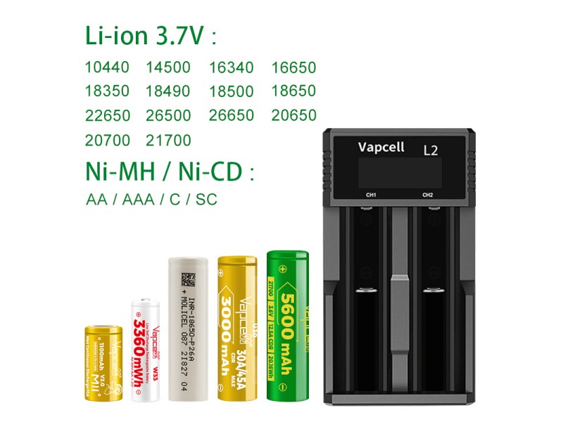 Caricabatterie VAPCELL L2 - USB C