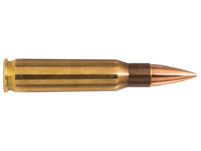 Naboj NORMA 308 Win FMJ Range