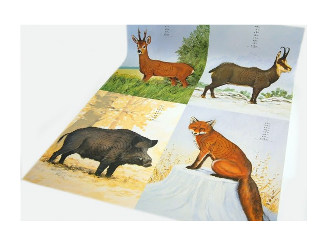 Tarča EU 4v1 89x68 cm