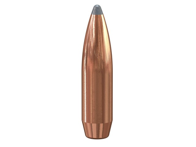 Bullets for filling SPEER Boat-Tail SP 7mm(.284)/160gr