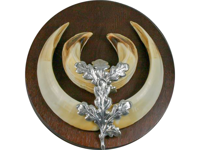 Decoration for wild boar trophy OAK LEAVES silver