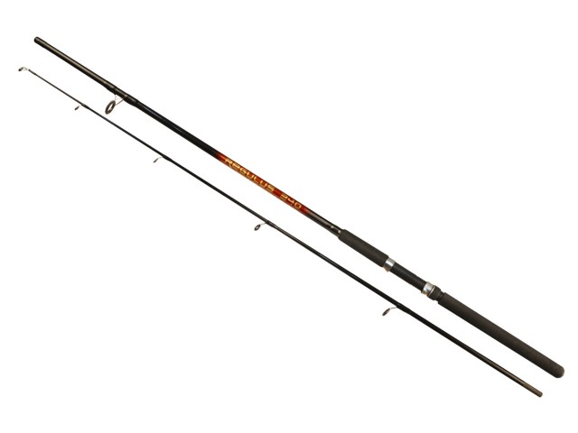 Rib. palica REGULUS Arno Rod - 2,40m/40-80g