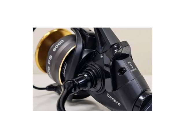 Mulinello RYOBI Caspro FS 6000