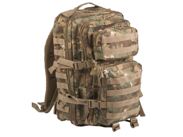 Militärischer Rucksack Assault large W/L-ARID