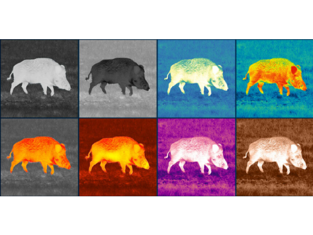 Termovizijski monokular PULSAR Axion XG35 Compact