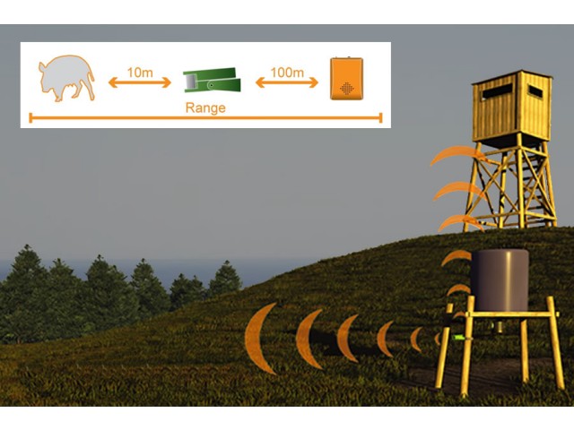 Sensore per caccia CALIBER HUNTING - 1 sensore