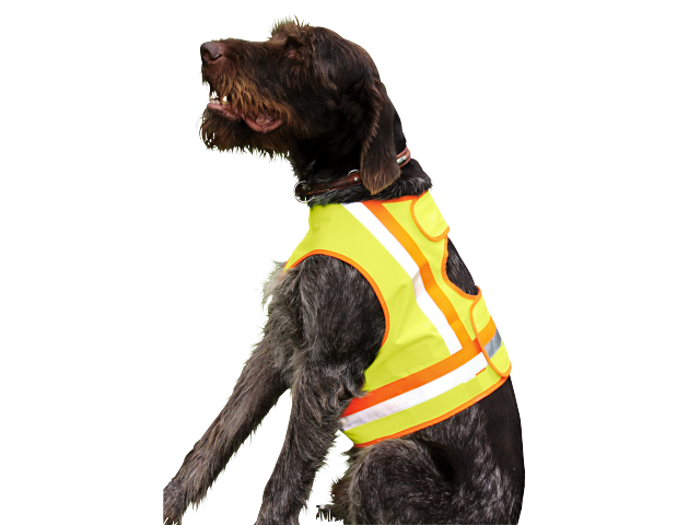 Reflexweste für Jagdhunde - GRÖSSE 2