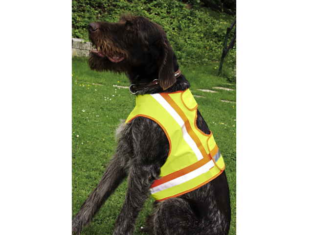 Reflexweste für Jagdhunde - GRÖSSE 2