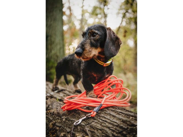 Leine FARM LAND 10 Meter - orange