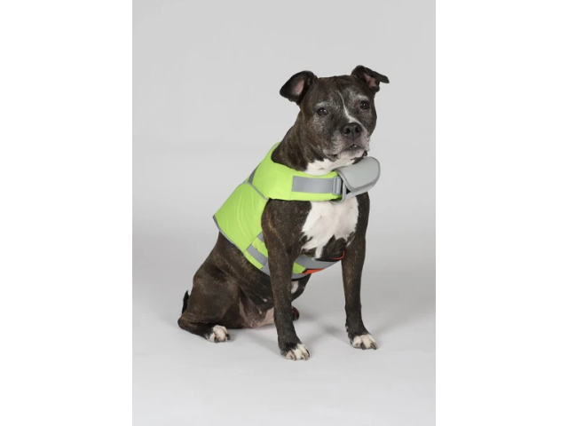 HUNDRA DOG Life Jacket