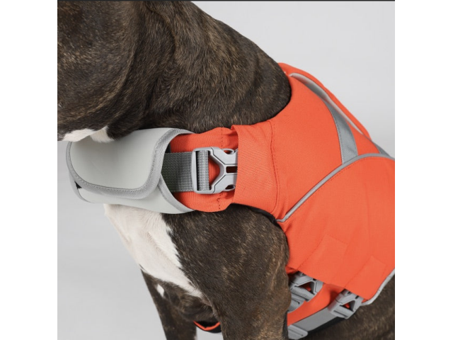 HUNDRA DOG Life Jacket