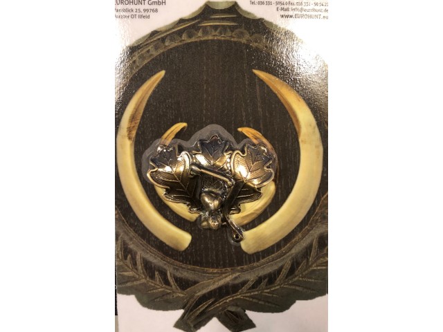 Dekoracija za trofej divljeg praščića OAK 2 bronca