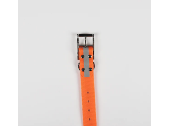 Collare per cani HUNDRA Riflettente arancione - 88 cm