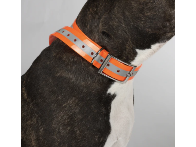 Collare per cani HUNDRA Riflettente arancione - 88 cm