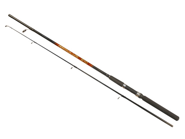 Rib. palica REGULUS Arno Rod - 1,95m/40-80g