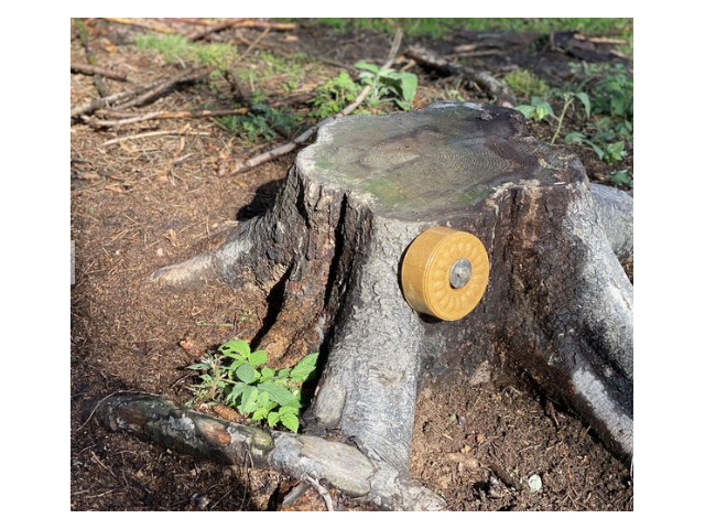 Lizak za divjad Wildlutscher Leckstein Anis - anis