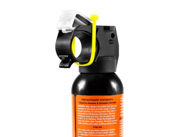 Sabre Frontiersman orso