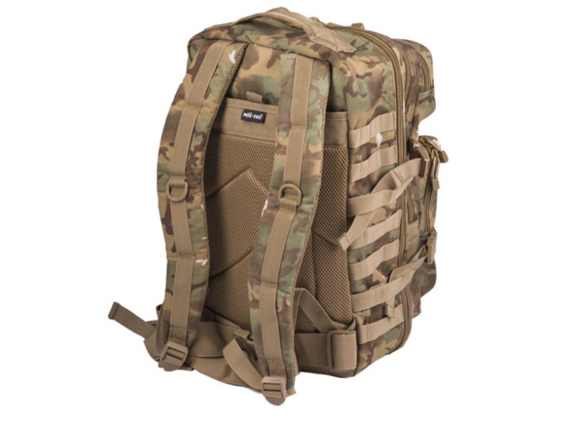 Militärischer Rucksack Assault large W/L-ARID