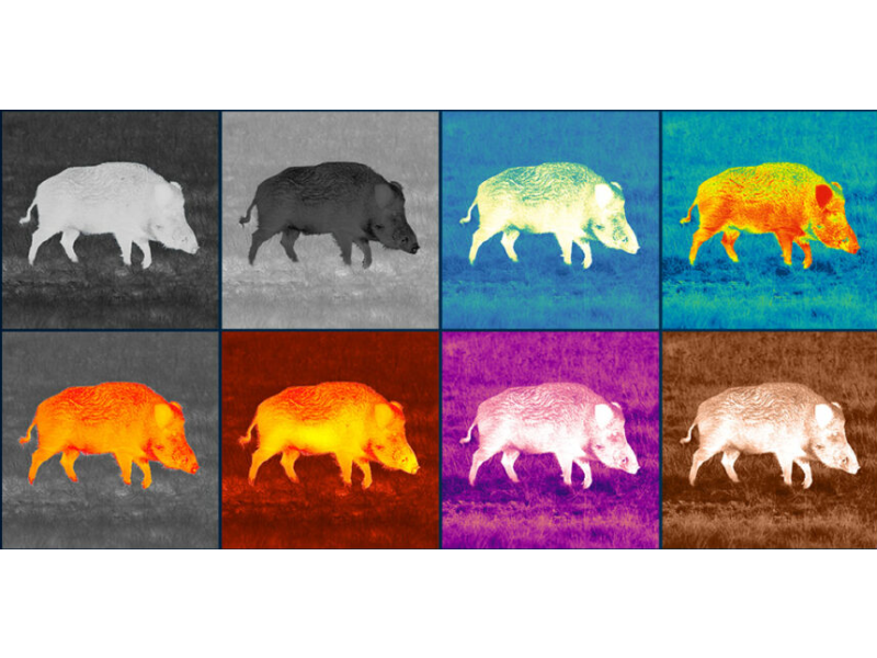 Termovizijski monokular PULSAR Axion XG35 Compact