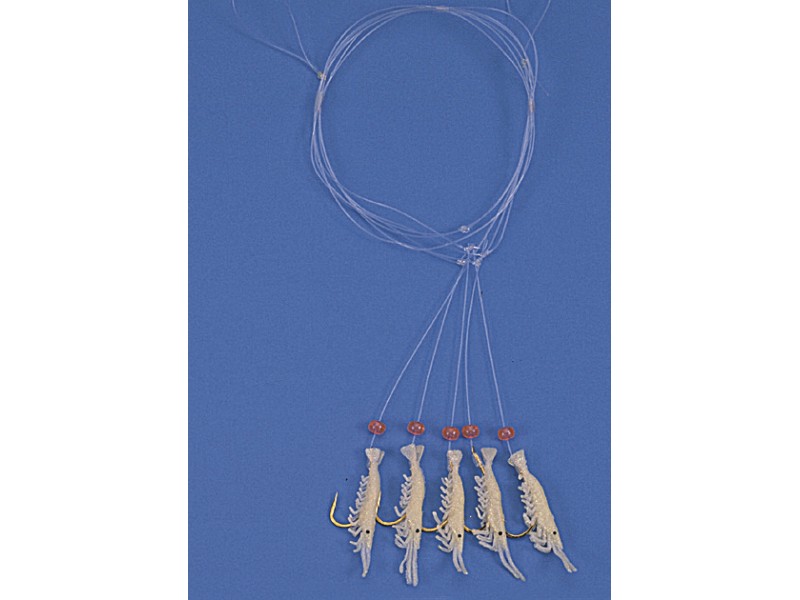 Vorfächer für das Meer BEHR 