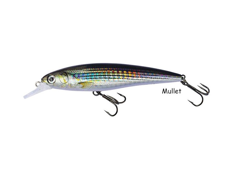 Vobler DTD Realistic fish - Mullet 100mm/13g
