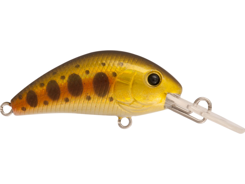 Lure RAPTURE Evoque DR Yamame Native - 5 cm