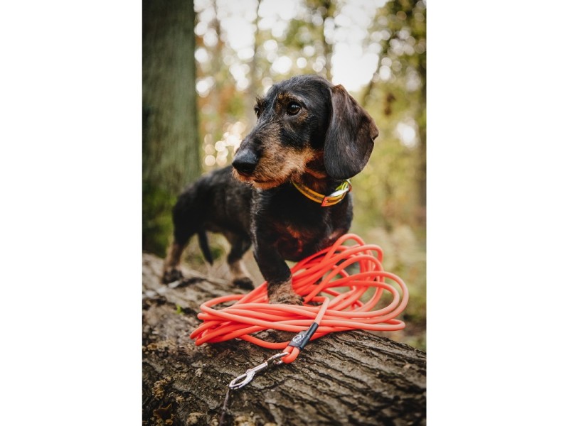 Leine FARM LAND 10 Meter - orange