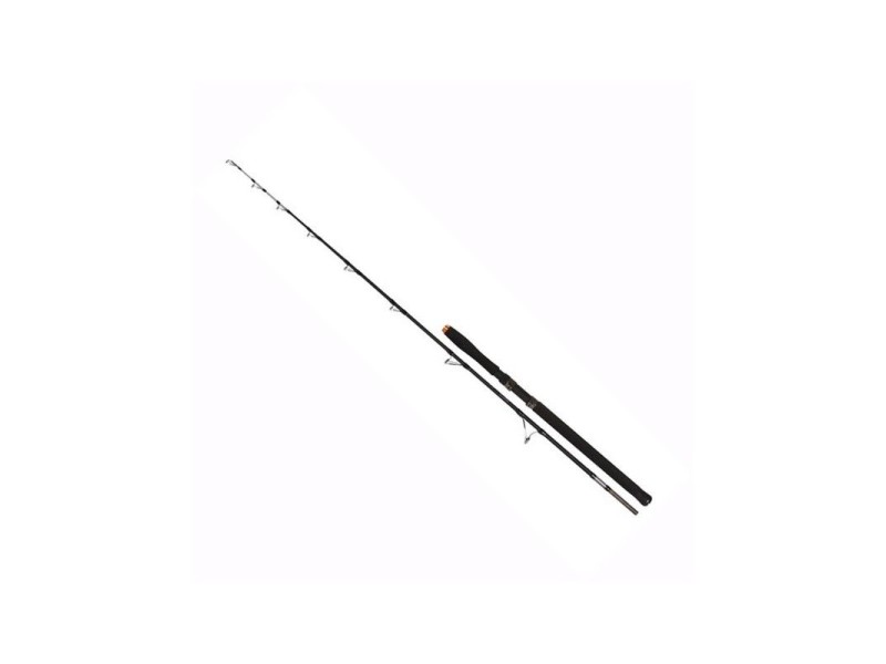Ribolovna palica FIL FISHING Hercules Catfish 1,98m/100-300g