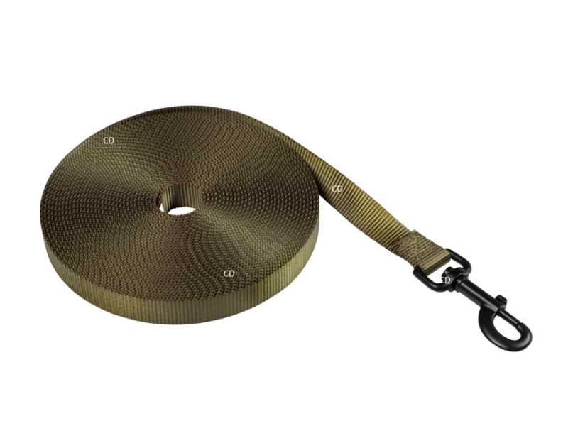 Lange Leine für Hunde ESSENTIEL grün - 10m/20 mm