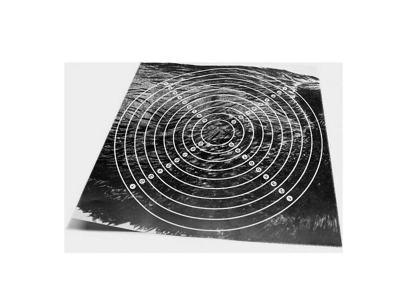 Vložek za tarčo bežeči merjasec desni