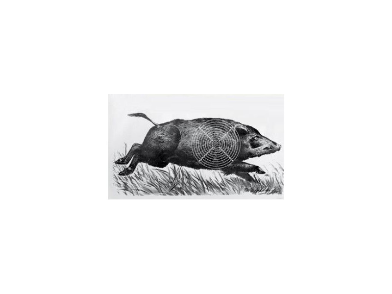 flüchtendes Wildschwein