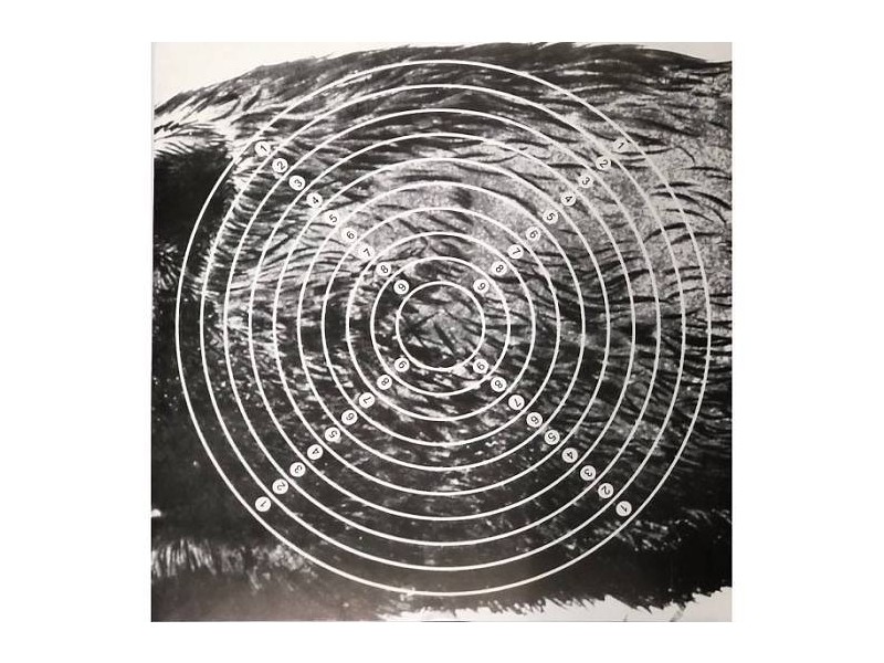 Vložek za tarčo bežeči merjasec levi