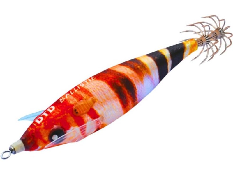 Pušča DTD Ball Real Fish 3.0 - Painted Comber