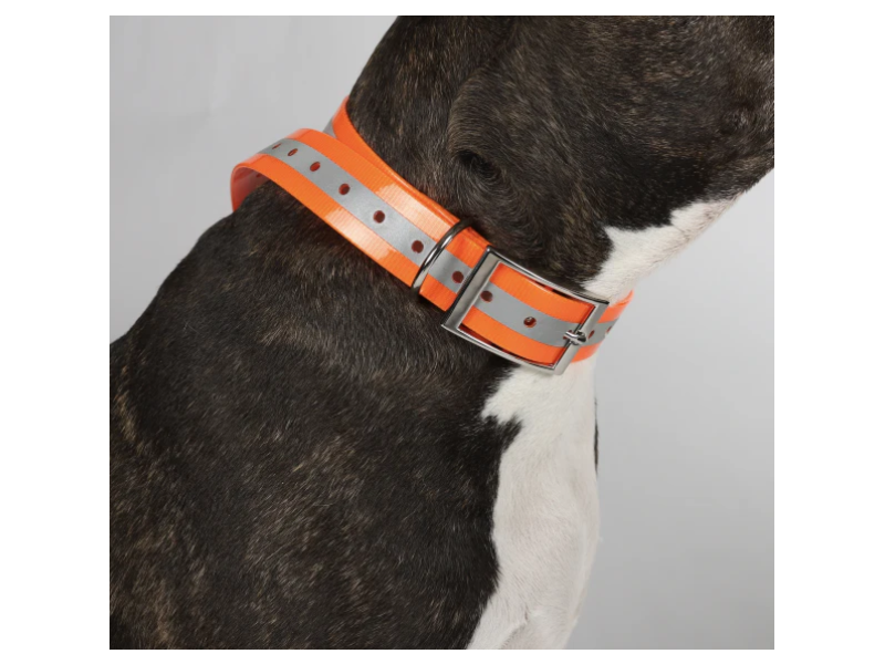 Collare per cani HUNDRA Riflettente arancione - 88 cm