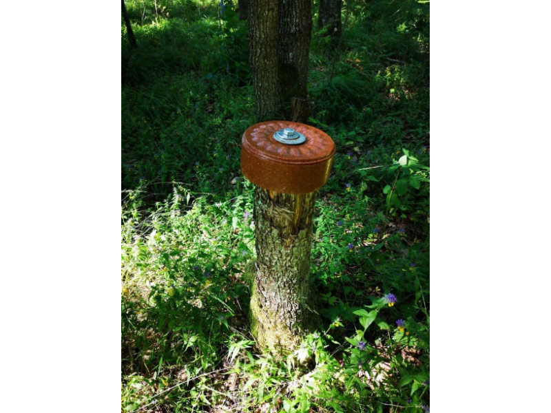 Lizak za divjad Wildlutscher Leckstein Anis - anis