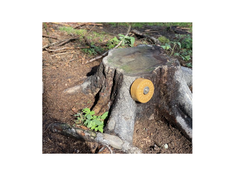 Lizak za divjad Wildlutscher Leckstein Anis - anis