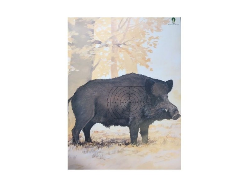 Tarča EU Prašič mala 43x33 cm