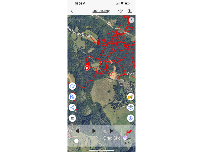 GPS za pse TR-Dog® QY512   ovratnica R50