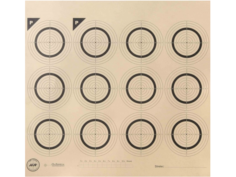 Target 100 m - F-class rifle