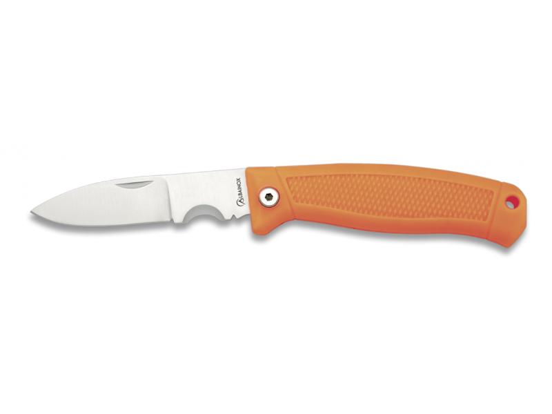 Folding knife ALBAINOX Electric cleaner