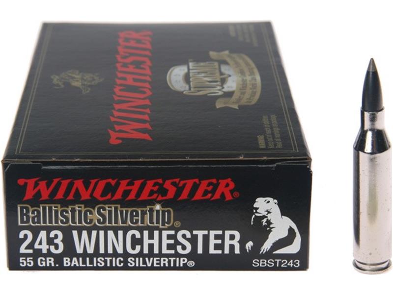 Naboj WINCHESTER .243 WIN SUPREME 55g , silver tip