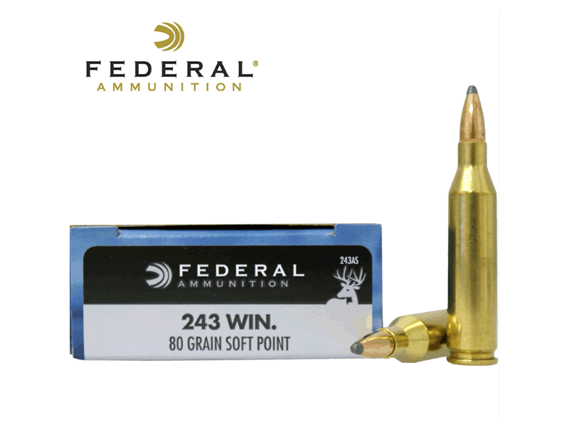 Naboj FEDERAL Power shok 243 win - 5,18g/80gr