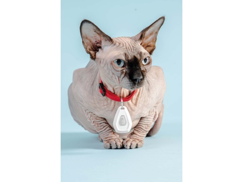 ZeroBugs™ PET Protiv krpelja i buha - EKSAGON - za ŽIVOTINJE - crna