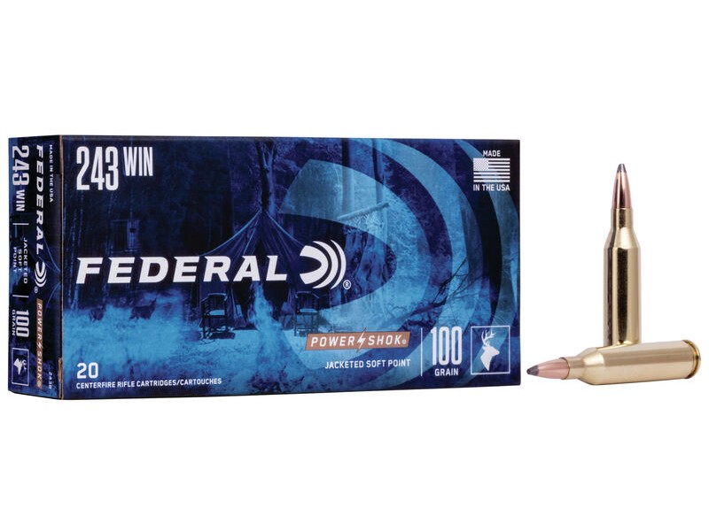 Naboj FEDERAL Power Shok 243 WIN - 100gr/6,5g