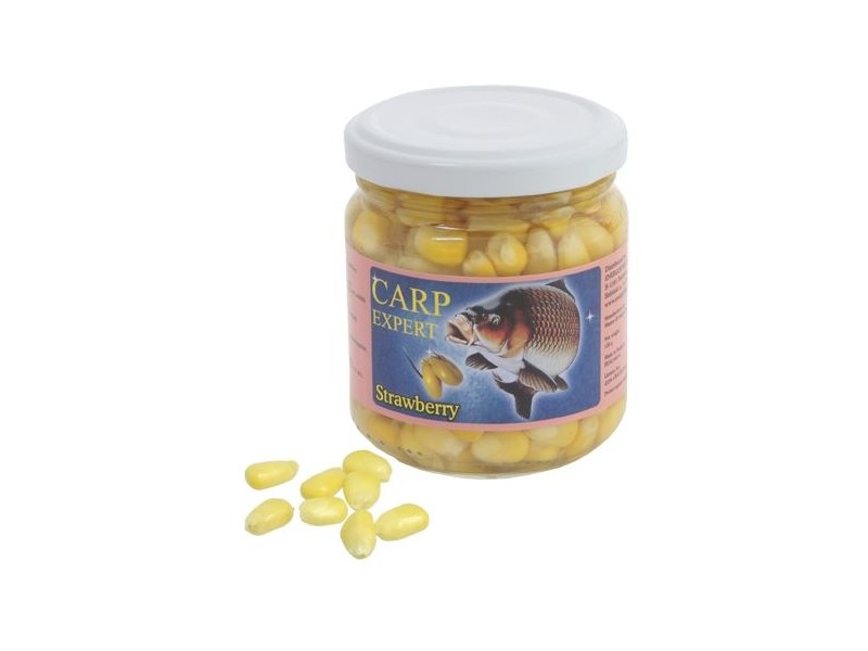 Koruza Carp Expert Jagoda bijela