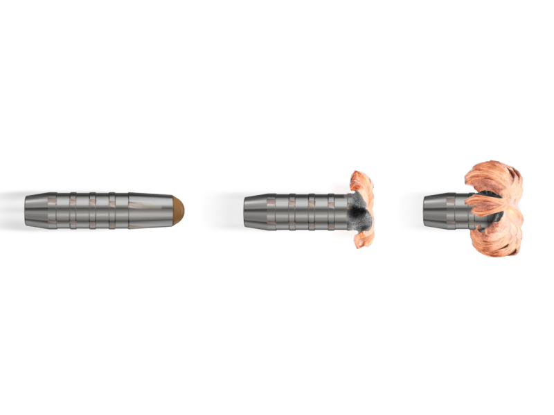 Naboj RWS 30-06 Spring. DRIVEN HUNT - 10,7g/165gr